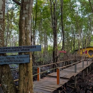 Desa Kampung Tua Bakau Desa Kampung Tua Bakau