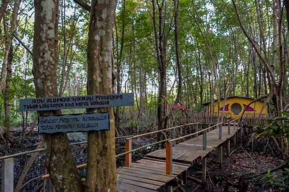 Desa Kampung Tua Bakau