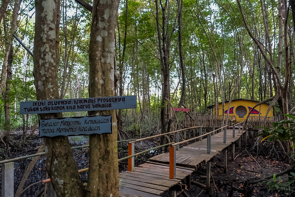Desa kampung tua bakau